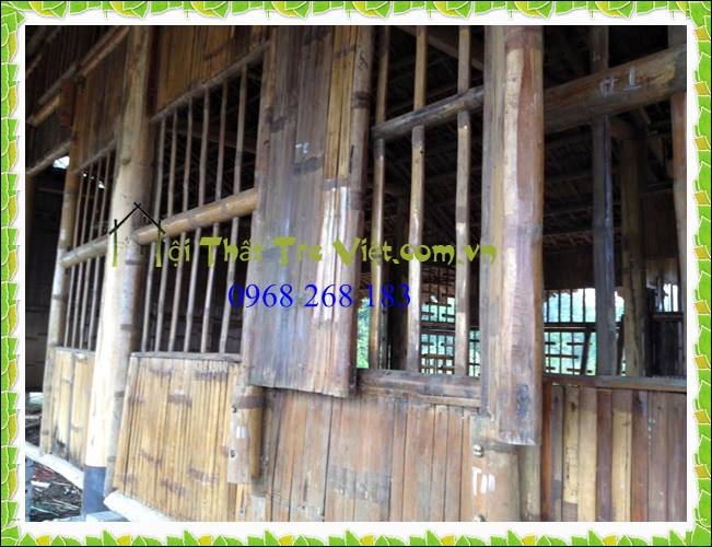 12540128 560216490793504 1334038317 n